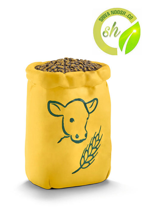 تولید خوراک دام