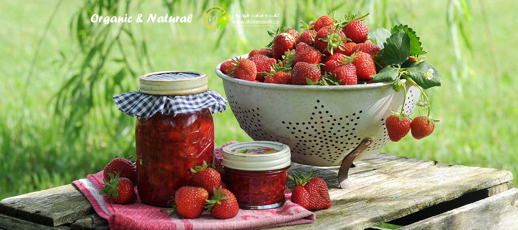 تصویر اسلایدشو