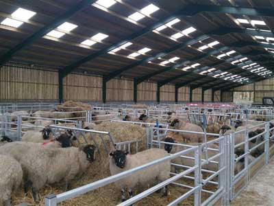 متن تصویر-10